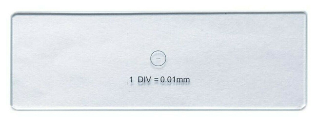 Stage Micrometer